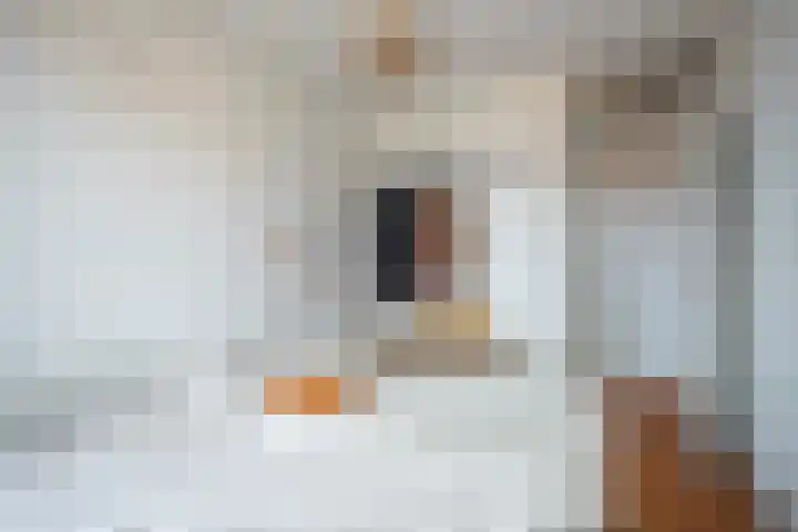Mariagardestraat 321 Roermond thumbnail 13