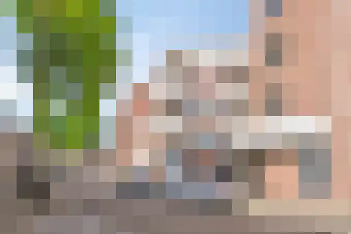Mariagardestraat 321 Roermond thumbnail 21