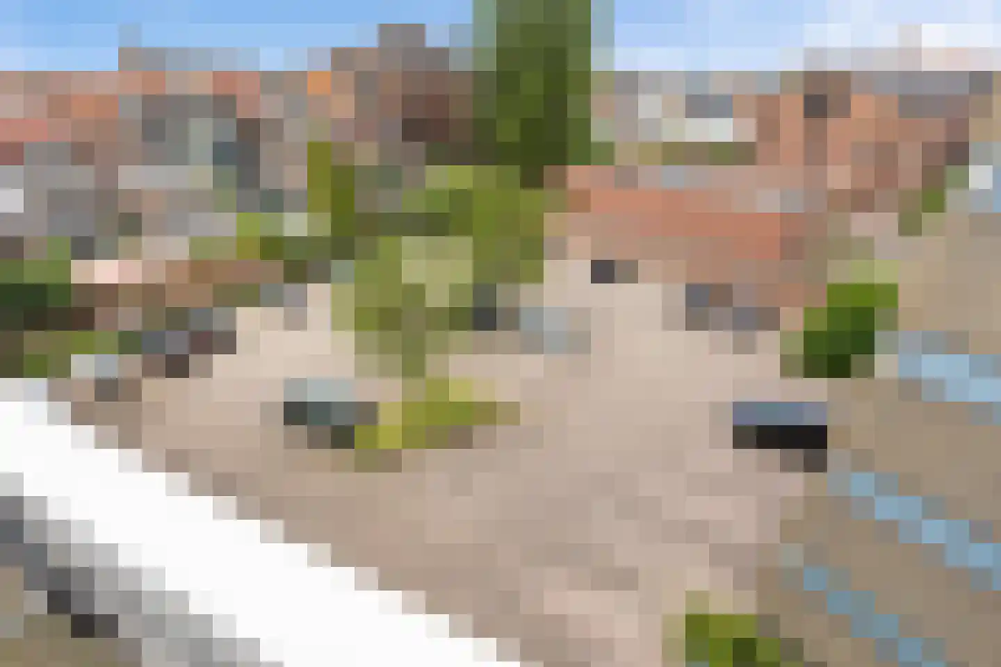 Mariagardestraat 425 Roermond thumbnail 36