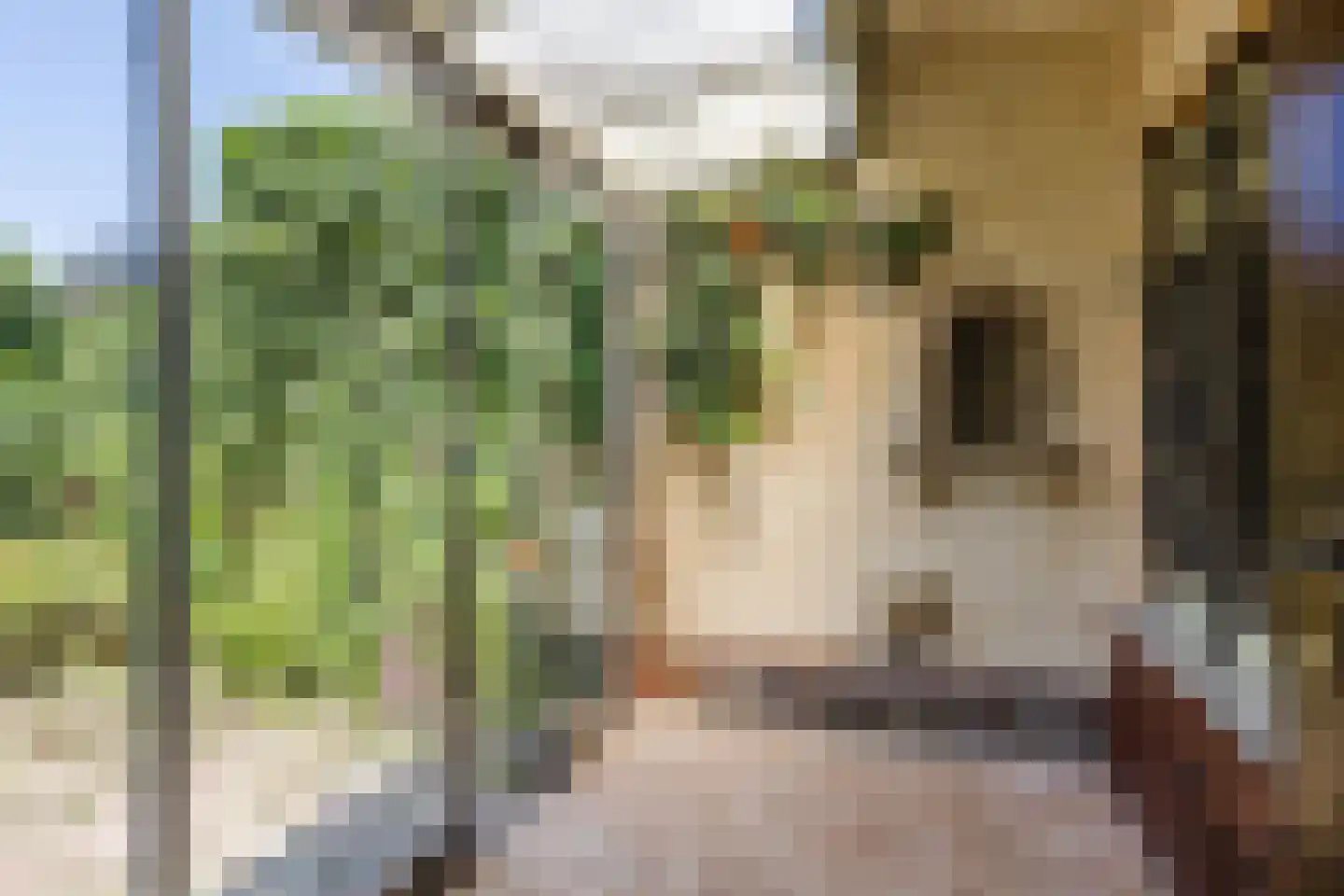 Mariahof 10 Berkel-Enschot thumbnail 25