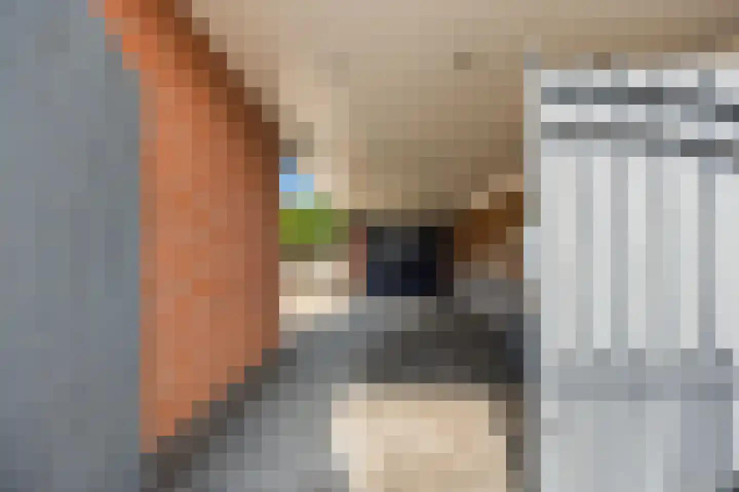 Mariahof 26 Druten thumbnail 52