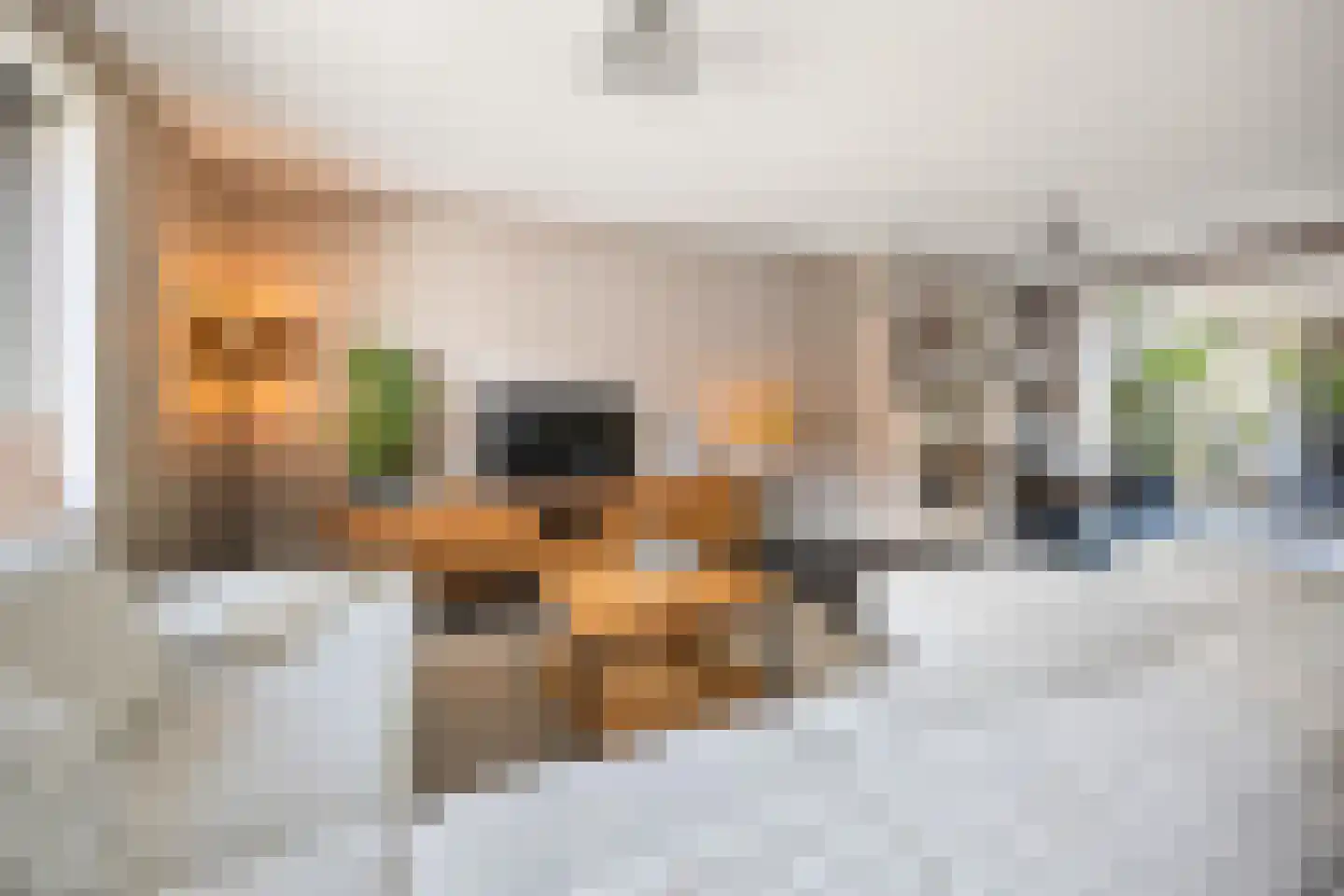 Mariahof 26 Druten thumbnail 7