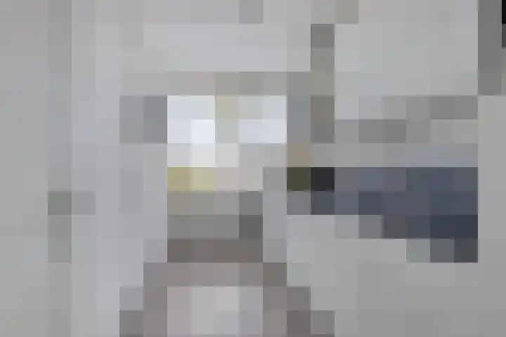 Marialaan 11 Breda thumbnail 10