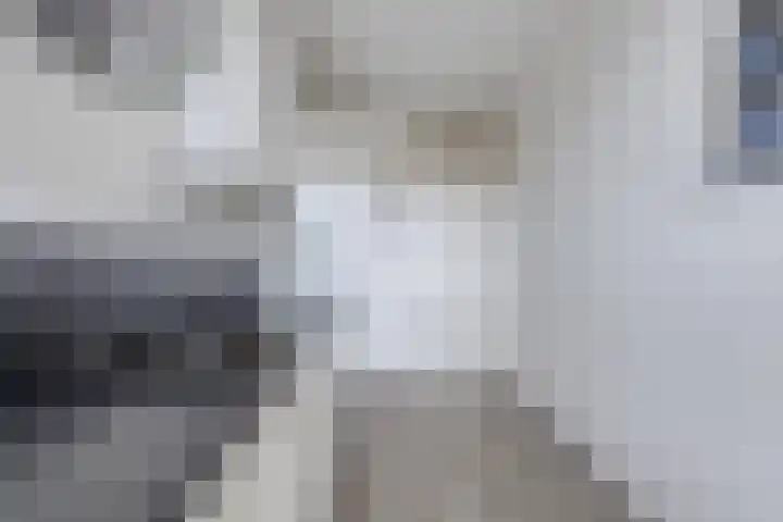 Marialaan 11 Breda thumbnail 11