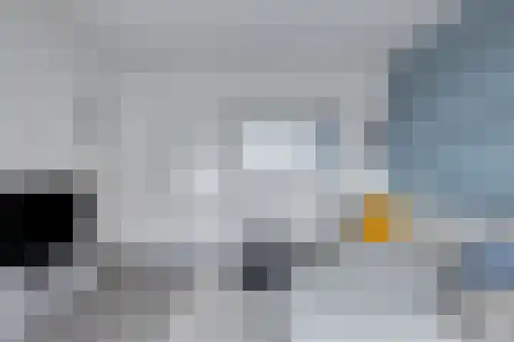 Marialaan 11 Breda thumbnail 14