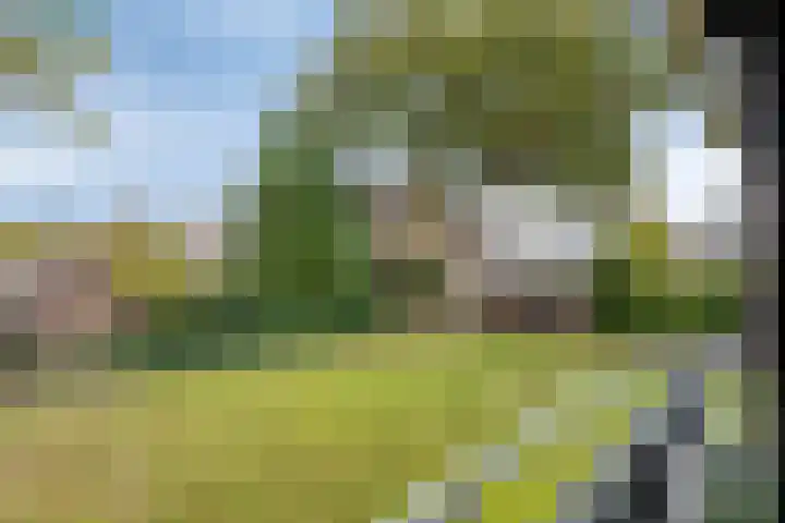 Marialaan 11 Breda thumbnail 23
