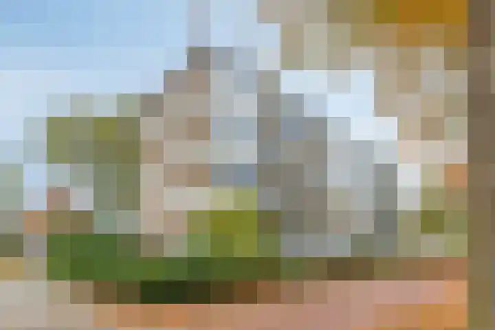Marialaan 11 Breda thumbnail 27