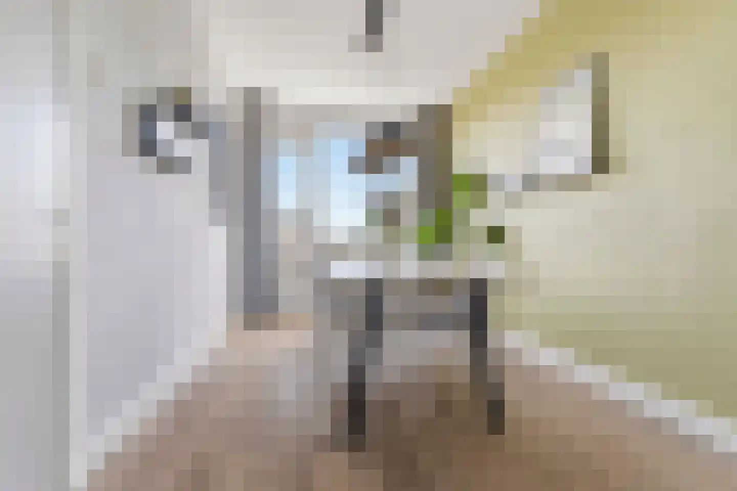 Marialaan 111 Nijmegen thumbnail 8