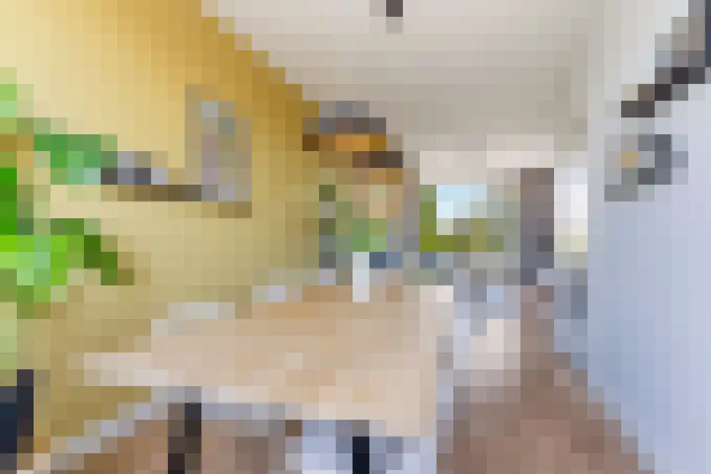 Marialaan 111 Nijmegen thumbnail 9