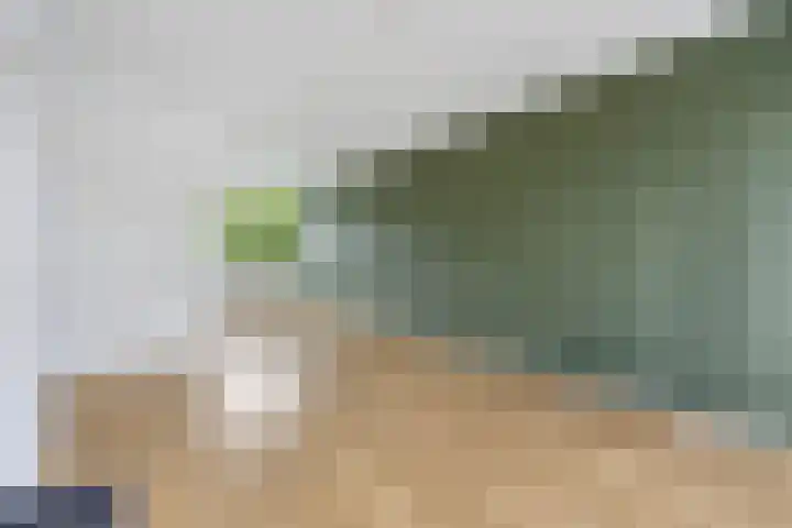 Marialaan 127 Nijmegen thumbnail 10