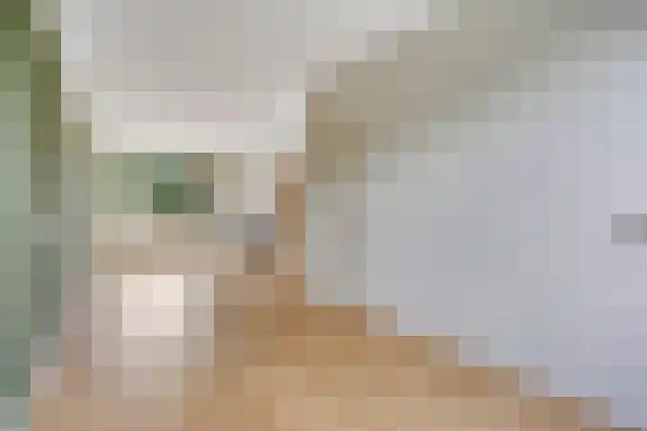 Marialaan 127 Nijmegen thumbnail 11