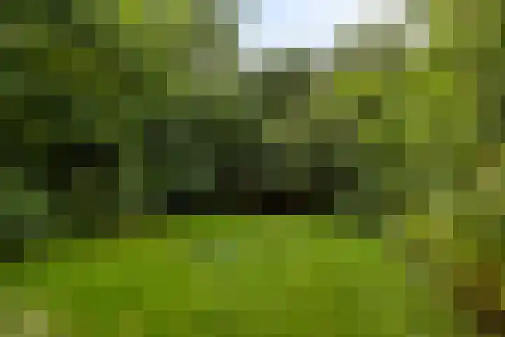 Marialaan 127 Nijmegen thumbnail 20