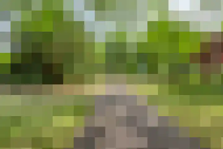 Marialaan 127 Nijmegen thumbnail 23