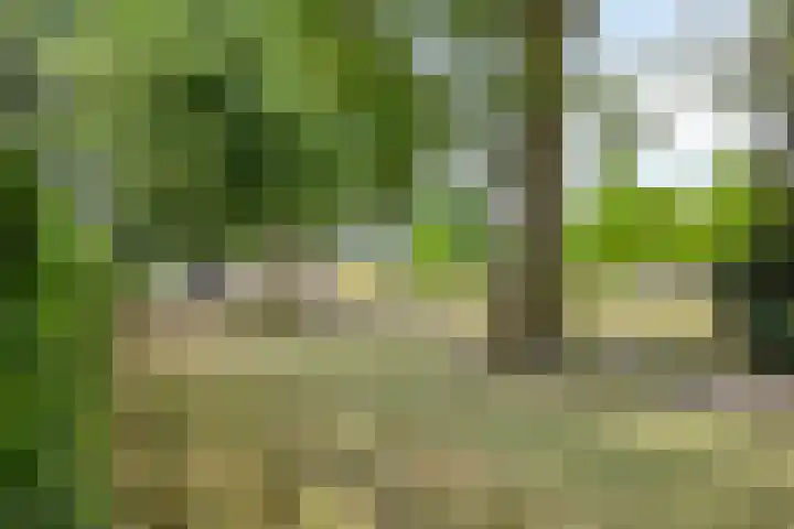Marialaan 127 Nijmegen thumbnail 24