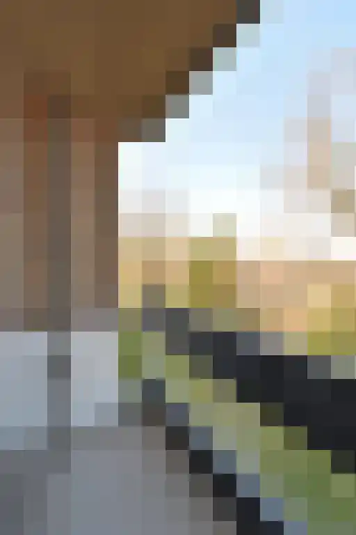 Marialaan 15 B Breda thumbnail 15