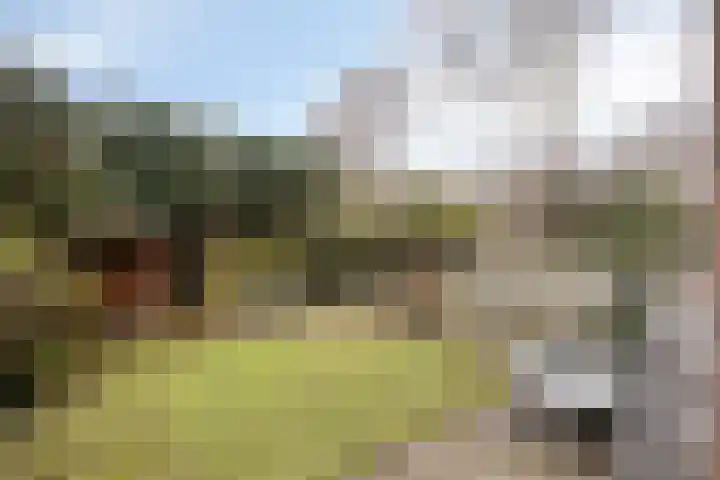 Marialaan 151 Nijmegen thumbnail 15