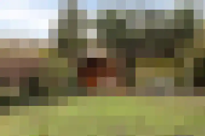 Marialaan 151 Nijmegen thumbnail 16