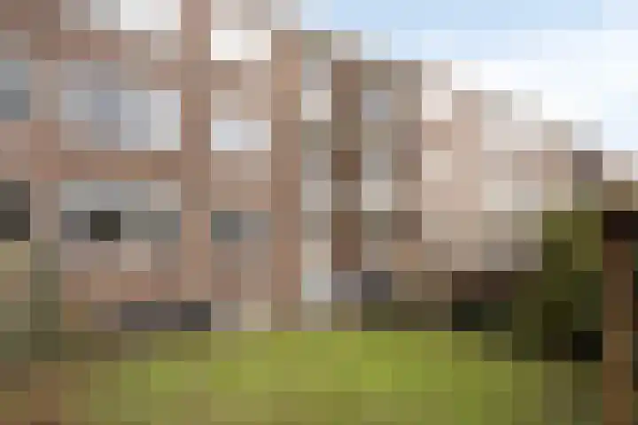 Marialaan 151 Nijmegen thumbnail 17