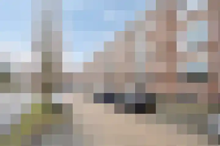 Marialaan 151 Nijmegen thumbnail 28