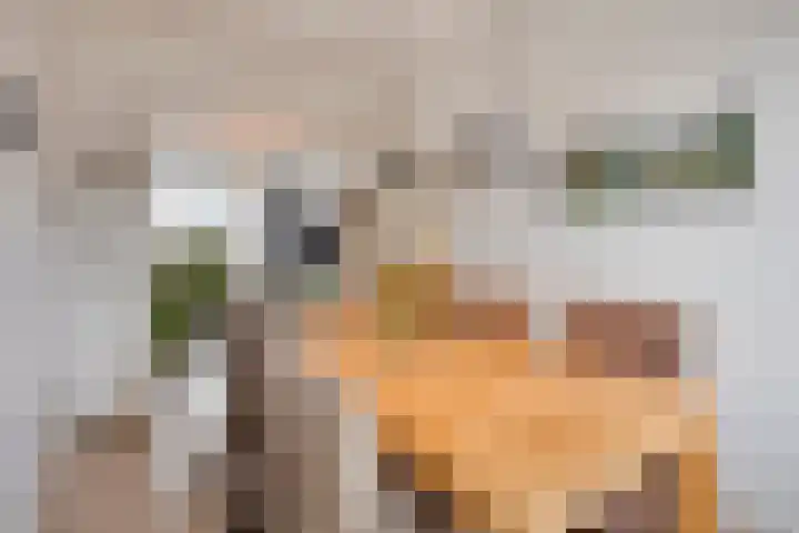 Marialaan 151 Nijmegen thumbnail 5