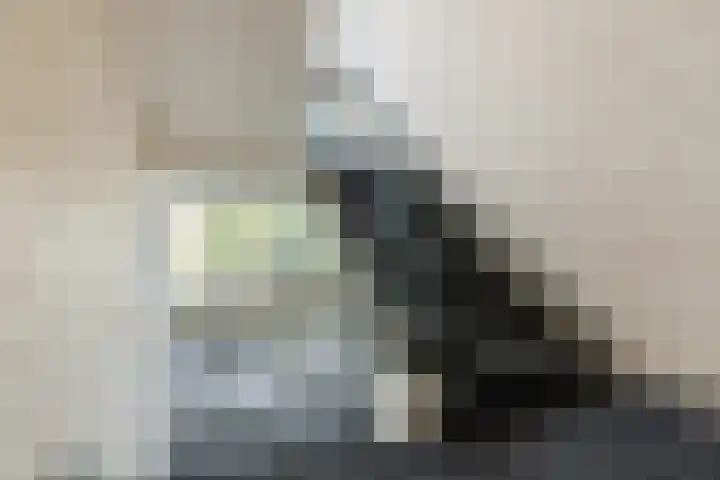 Marialaan 161 Nijmegen thumbnail 31