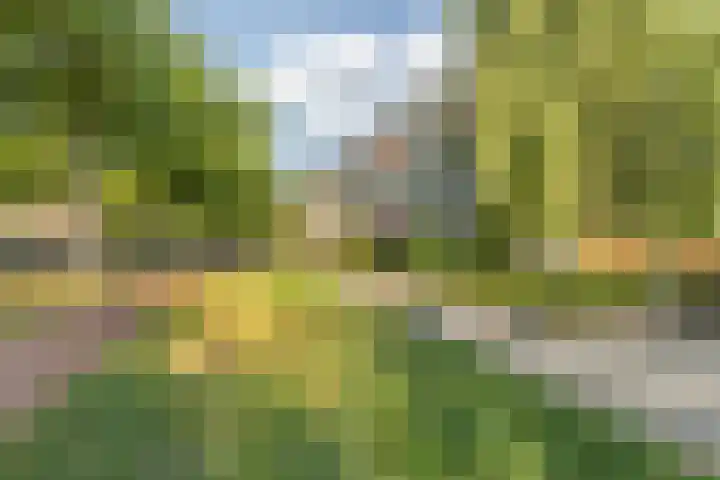 Marialaan 19 A Breda thumbnail 38