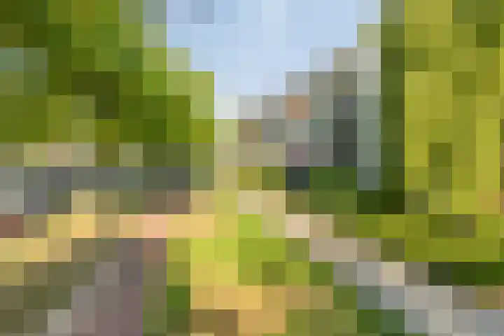 Marialaan 19 A Breda thumbnail 39