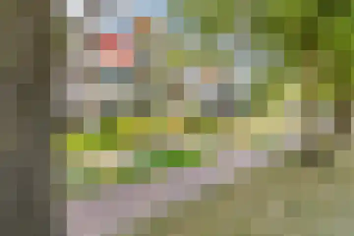 Marialaan 19 A Breda thumbnail 44