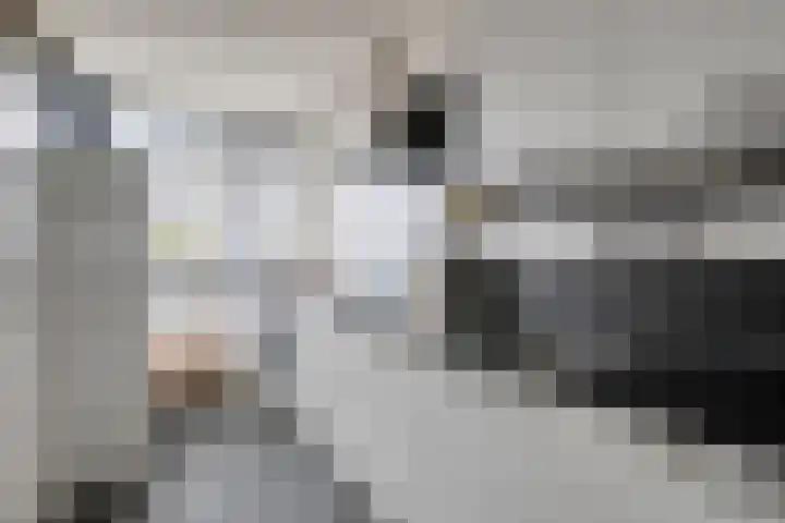Marialaan 2 C Breda thumbnail 10