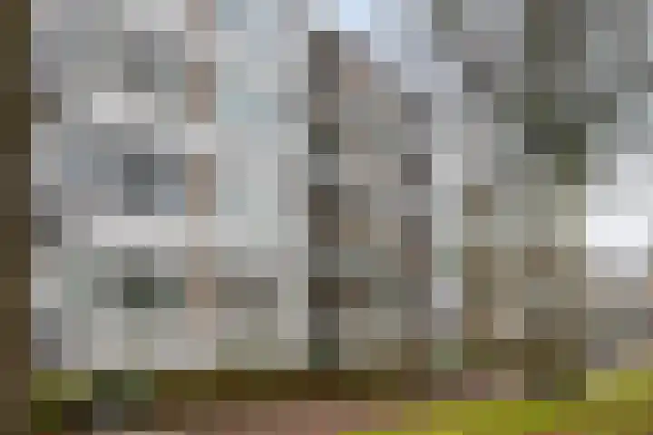 Marialaan 2 C Breda thumbnail 19