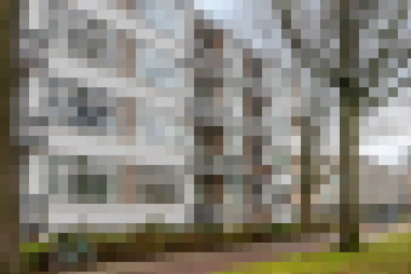 Marialaan 2 C Breda thumbnail 19