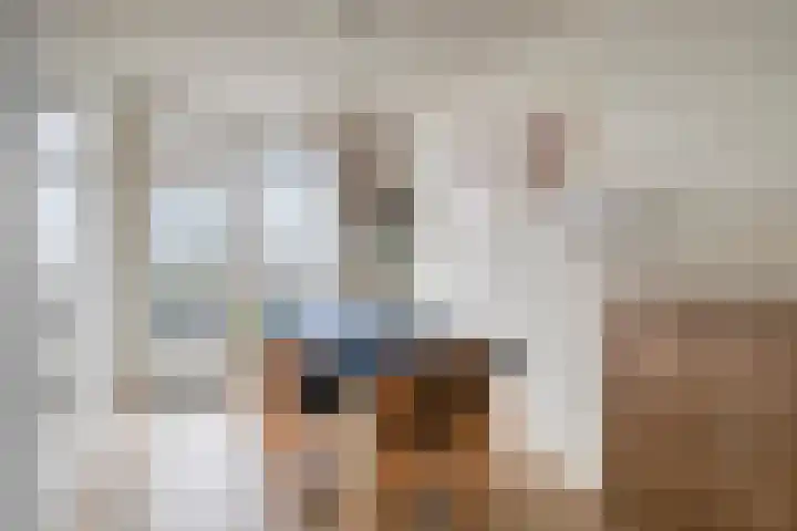 Marialaan 2 C Breda thumbnail 6