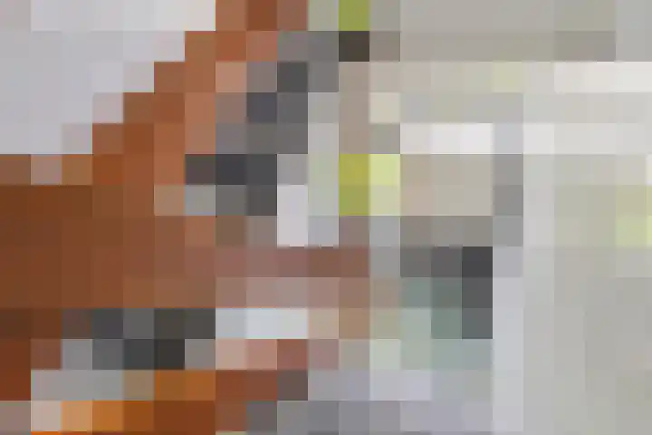 Marialaan 22 Breda thumbnail 10