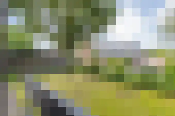 Marialaan 22 Breda thumbnail 31