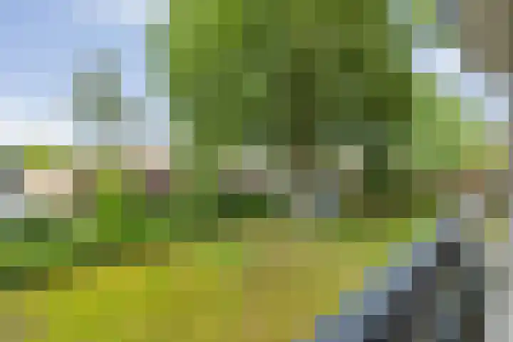 Marialaan 22 Breda thumbnail 32