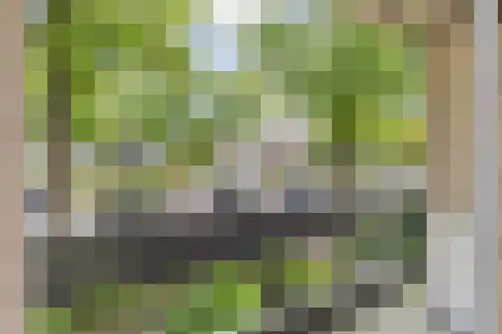 Marialaan 22 Breda thumbnail 33