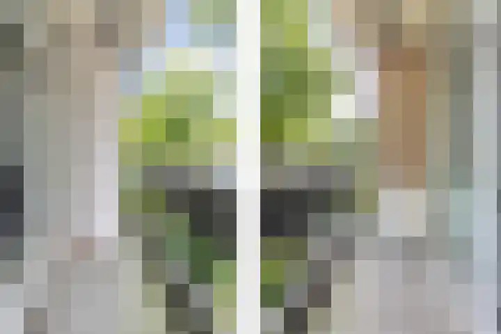 Marialaan 22 Breda thumbnail 34
