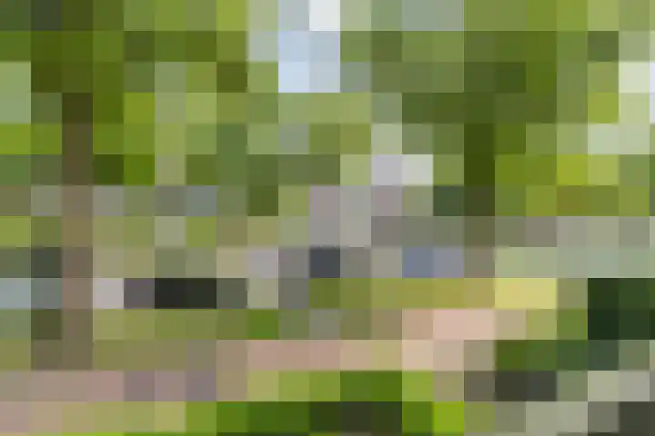 Marialaan 22 Breda thumbnail 35