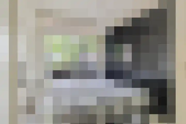 Marialaan 22 Breda thumbnail 5