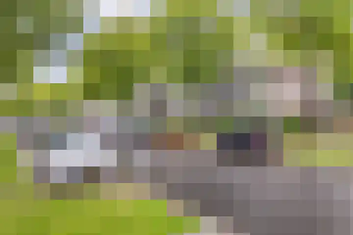 Marialaan 22 Breda thumbnail 6