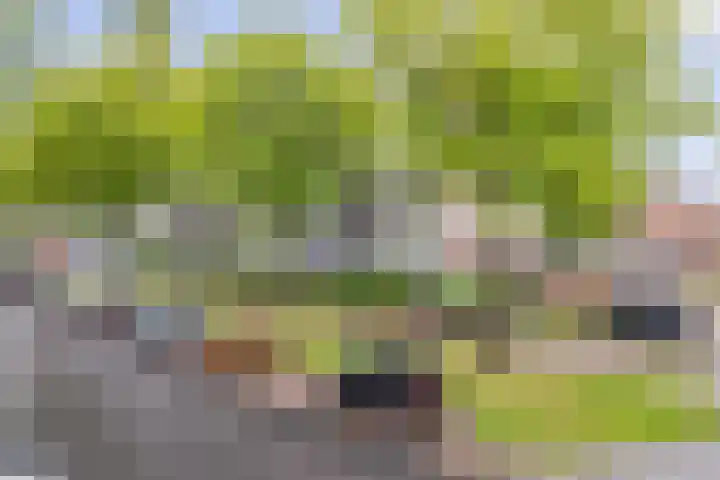 Marialaan 22 Breda thumbnail 7