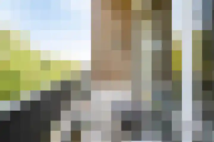 Marialaan 22 C Breda thumbnail 20