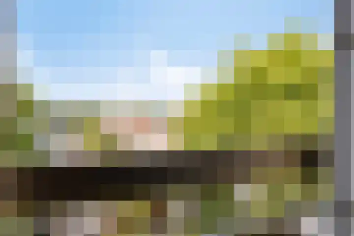 Marialaan 22 C Breda thumbnail 21