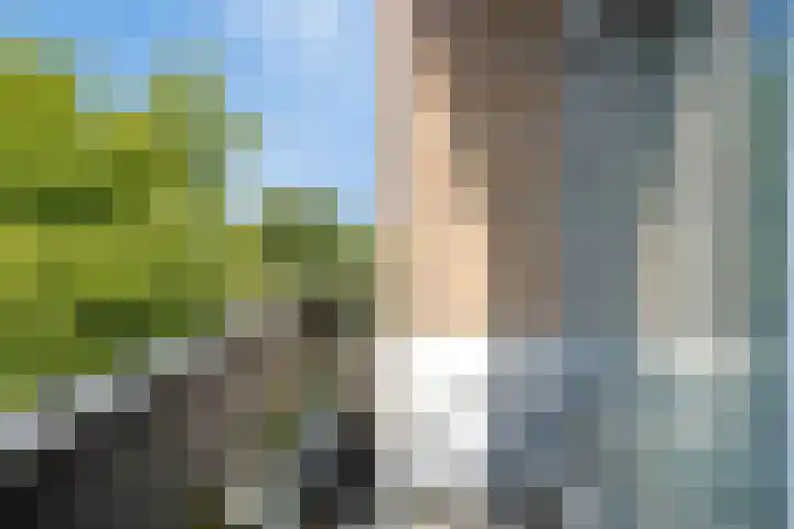 Marialaan 22 C Breda thumbnail 22
