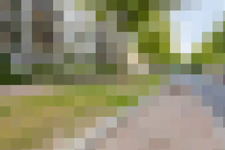 Marialaan 22 C Breda thumbnail 23