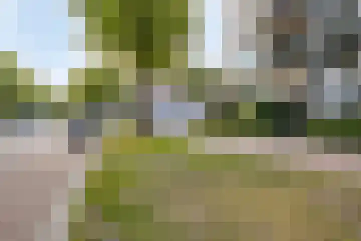 Marialaan 22 C Breda thumbnail 24