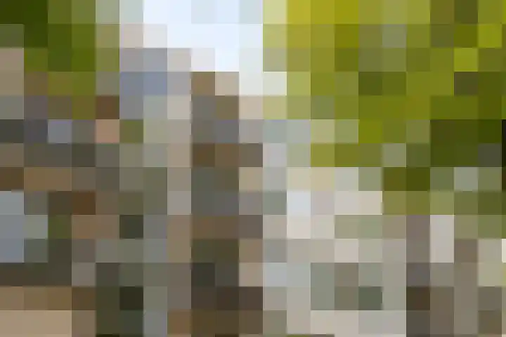 Marialaan 22 C Breda thumbnail 25