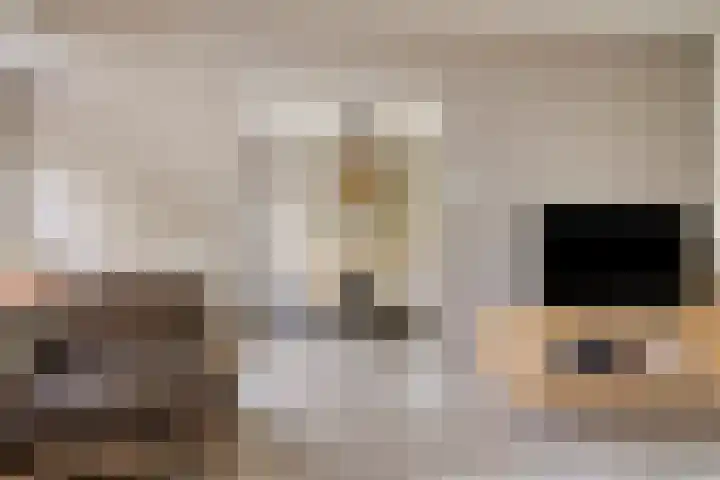 Marialaan 22 C Breda thumbnail 4