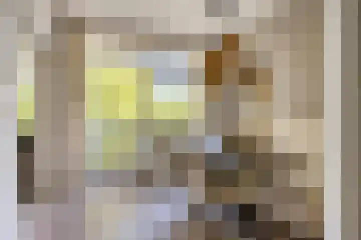 Marialaan 22 C Breda thumbnail 5