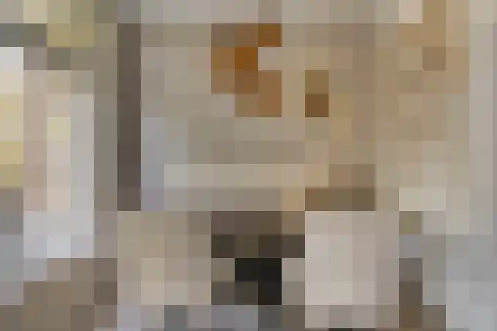 Marialaan 22 C Breda thumbnail 6